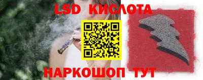 стаф Свободный