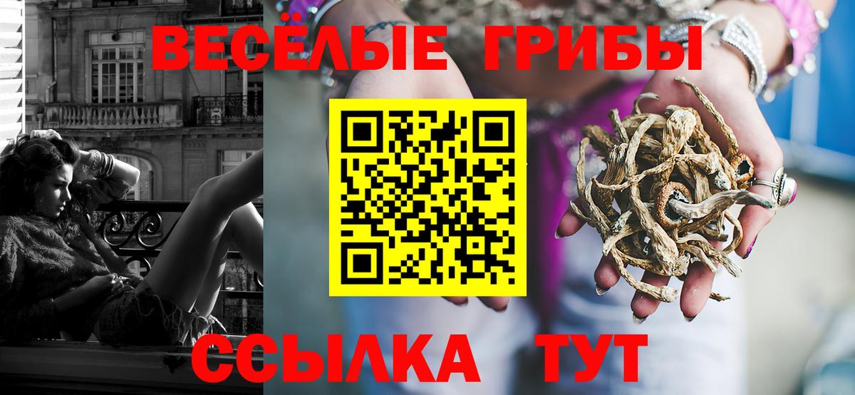 Галлюциногенные грибы ЛСД  Вход с VPN  Рославль  Псилоцибиновые грибы Psilocybine cubensis 